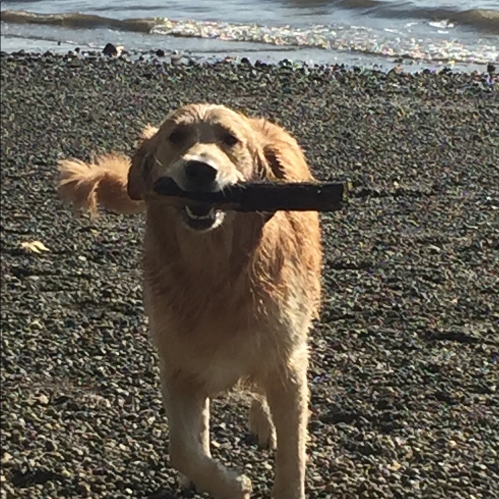 Meet your Posher, Sara